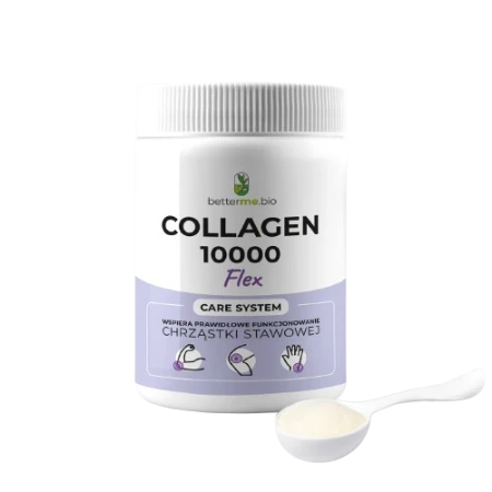 Collagen 10000 Flex - Kolagen Rybi i Chondroityna - proszek na stawy, kości, mięśnie 